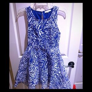 Blue and white animal print dress.